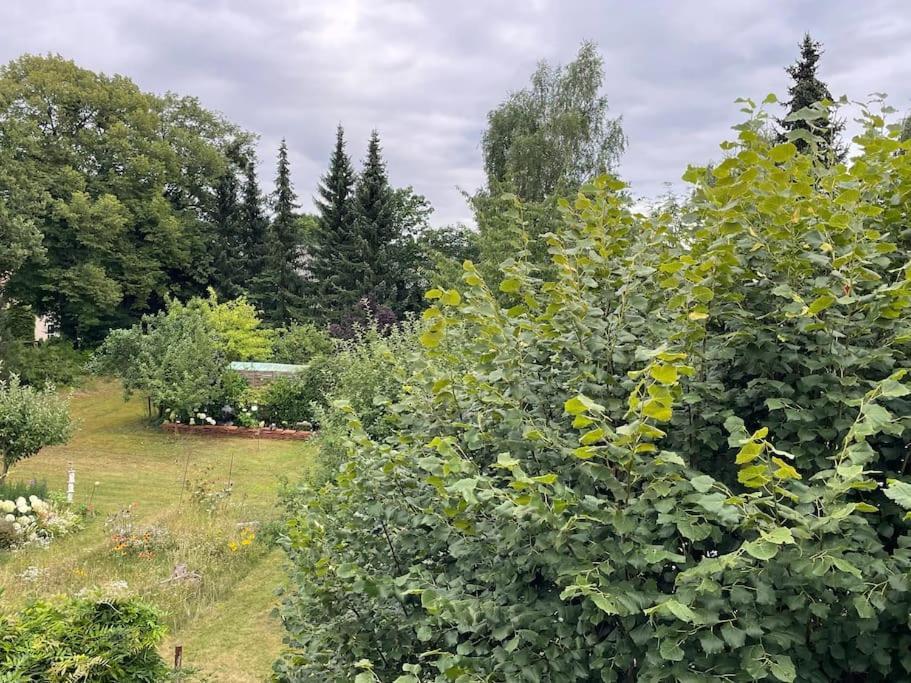 Grosse Wohnung Mit Loggia Templin Exteriör bild